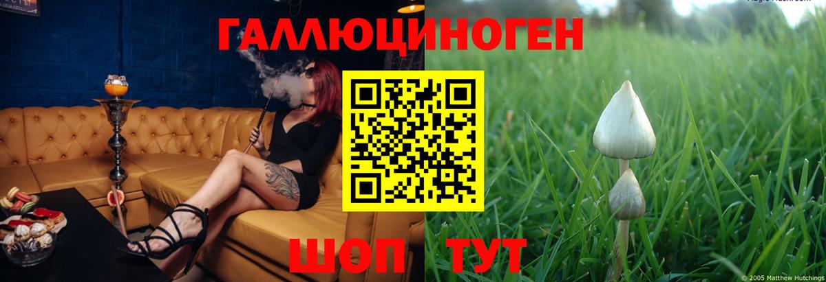 Псилоцибиновые грибы ЛСД  Псилоцибиновые грибы мухоморы  Вход с VPN  Ирбит 